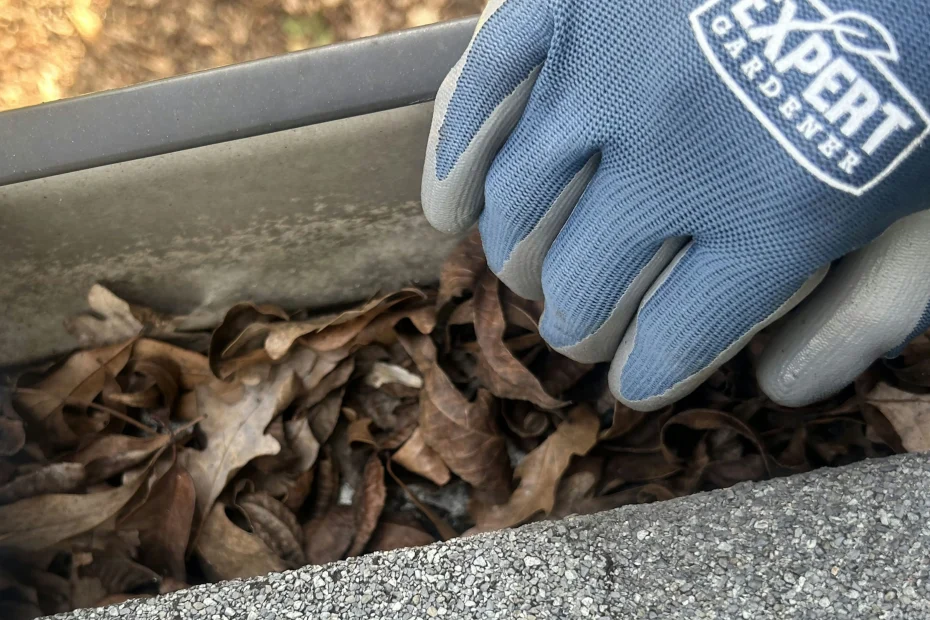 Gutter Cleaning Cumberland